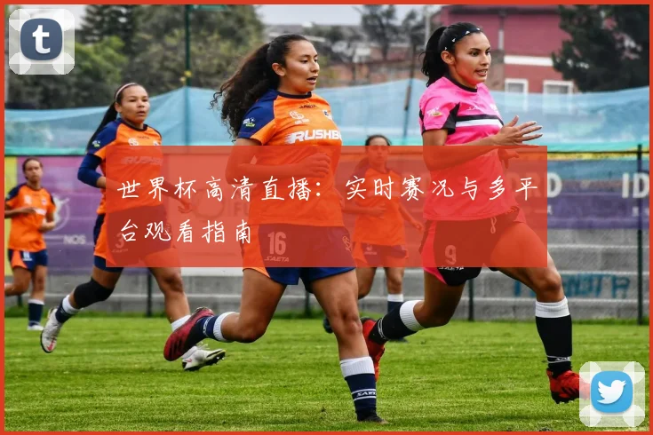 世界杯高清直播：实时赛况与多平台观看指南