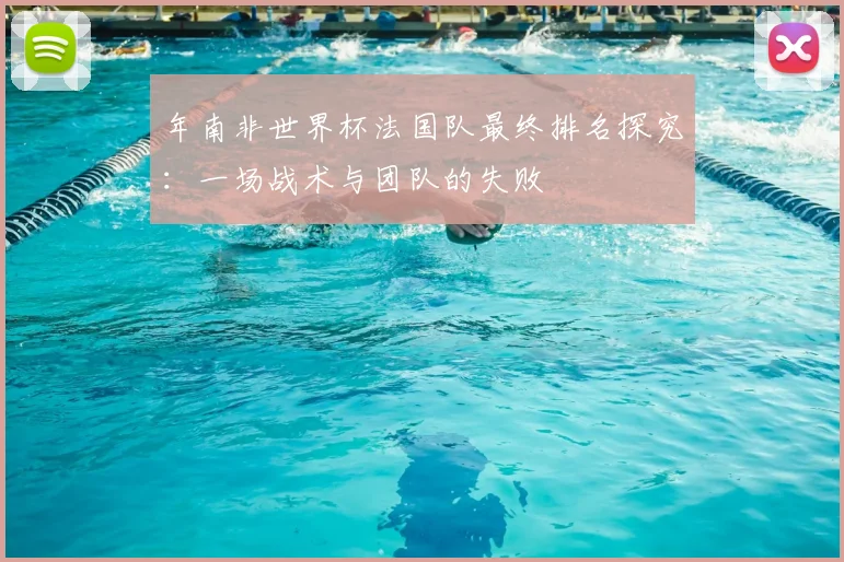 年南非世界杯法国队最终排名探究：一场战术与团队的失败