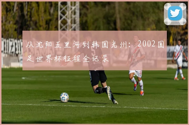 从沈阳五里河到韩国光州:2002国足世界杯征程全记录
