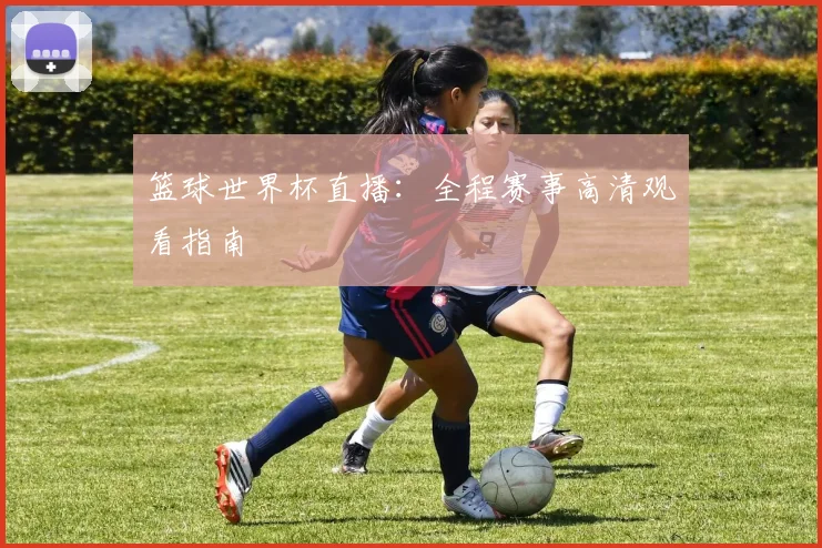 篮球世界杯直播：全程赛事高清观看指南
