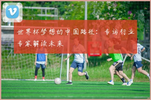 世界杯梦想的中国路径：专访行业专家解读未来