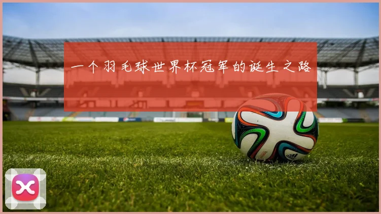 一个羽毛球世界杯冠军的诞生之路