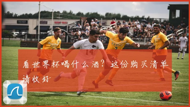看世界杯喝什么酒？这份购买清单请收好