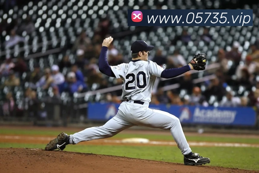 米兰官方网站入口平台生态图