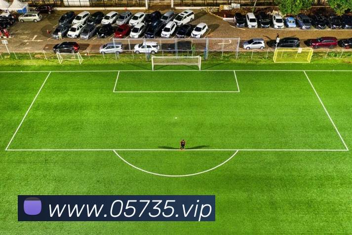 数据防护可视化